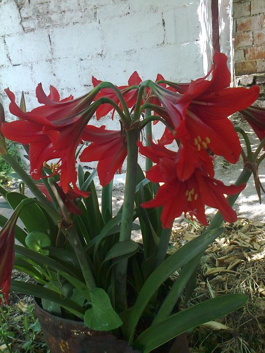 Name:  Fotoraf2572.jpg
Views: 416
Size:  73.8 KB