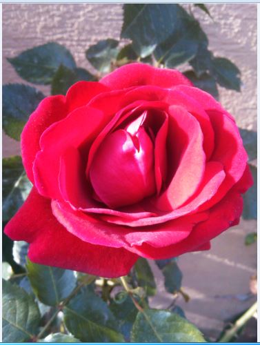 Name:  g3.JPG
Views: 505
Size:  39.7 KB