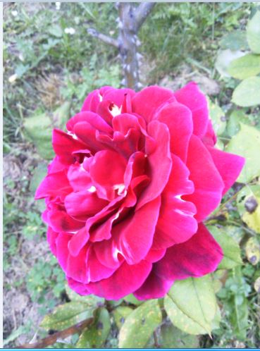Name:  g6.JPG
Views: 265
Size:  47.7 KB