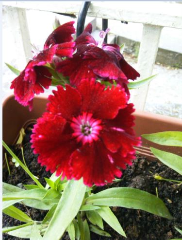 Name:  k5.JPG
Views: 266
Size:  44.2 KB