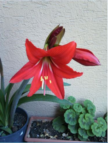 Name:  m1.JPG
Views: 267
Size:  43.5 KB