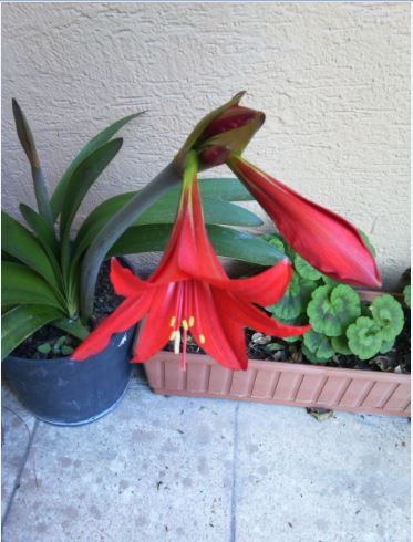 Name:  m2.JPG
Views: 267
Size:  43.4 KB