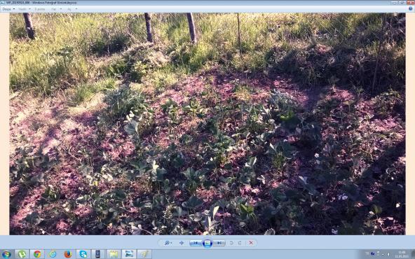 Name:  ilek2 10.5.15.jpg
Views: 1004
Size:  69.5 KB
