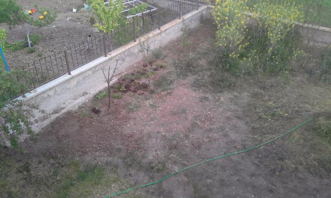 Name:  untitled5.jpg
Views: 1135
Size:  47.9 KB
