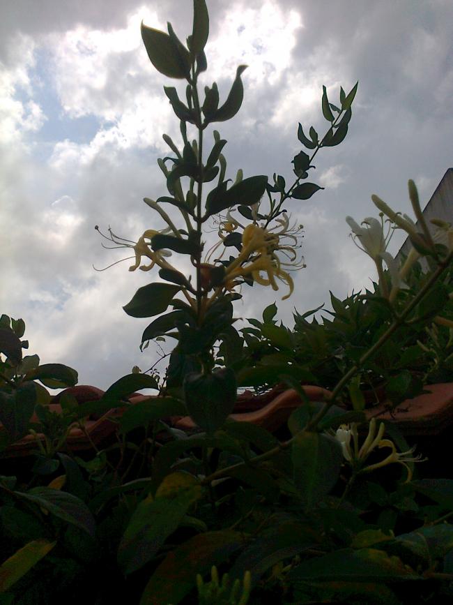 Name:  Fotoraf2660.jpg
Views: 362
Size:  65.6 KB