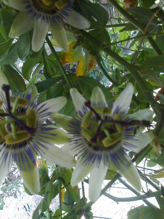 Name:  Fotoraf2671.jpg
Views: 349
Size:  73.0 KB