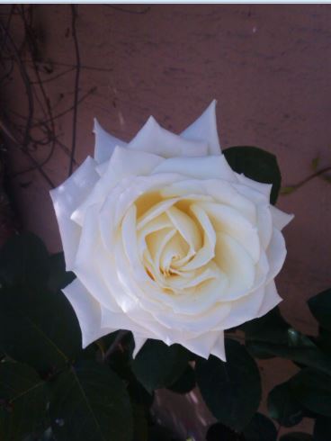 Name:  ci2.JPG
Views: 267
Size:  25.1 KB
