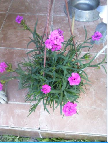 Name:  ar.JPG
Views: 286
Size:  43.6 KB