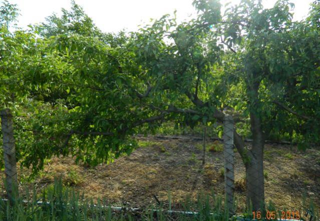 Name:  Resim 768.jpg
Views: 1057
Size:  65.7 KB