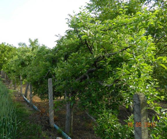 Name:  Resim 766.jpg
Views: 1097
Size:  62.4 KB