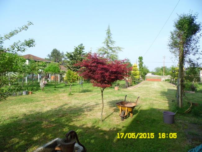 Name:  199.jpg
Views: 1094
Size:  56.4 KB