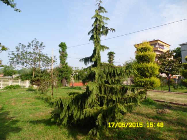 Name:  108.jpg
Views: 1145
Size:  60.1 KB