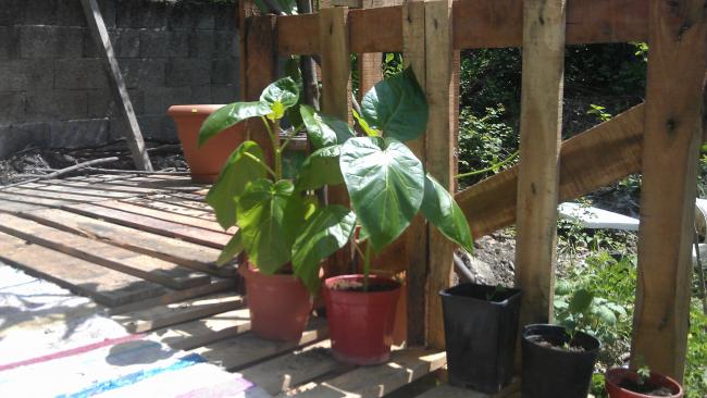 Name:  IMAG0761.jpg
Views: 790
Size:  45.2 KB