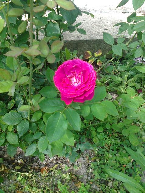 Name:  Fotoraf2734.jpg
Views: 286
Size:  76.7 KB