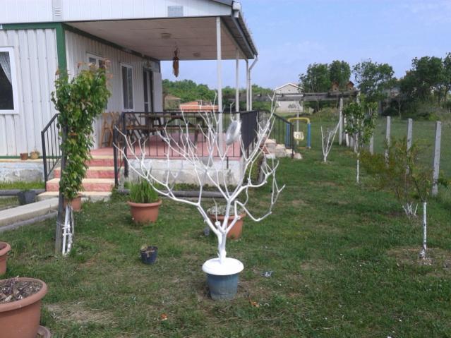 Name:  20150522_100724.jpg
Views: 1507
Size:  56.5 KB