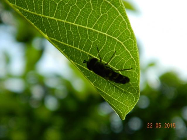 Name:  Resim 800.jpg
Views: 769
Size:  32.7 KB