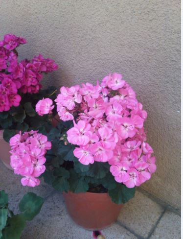 Name:  sa2.JPG
Views: 537
Size:  41.8 KB