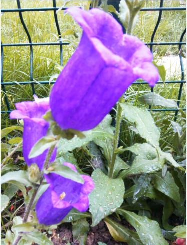 Name:  a4.JPG
Views: 638
Size:  56.1 KB