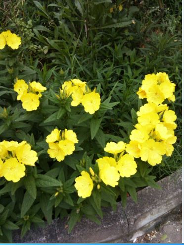 Name:  gu1.JPG
Views: 620
Size:  50.3 KB