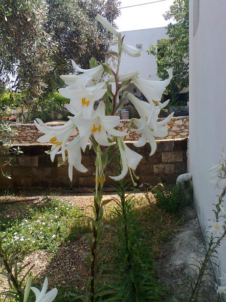 Name:  Fotoraf2783.jpg
Views: 360
Size:  74.7 KB