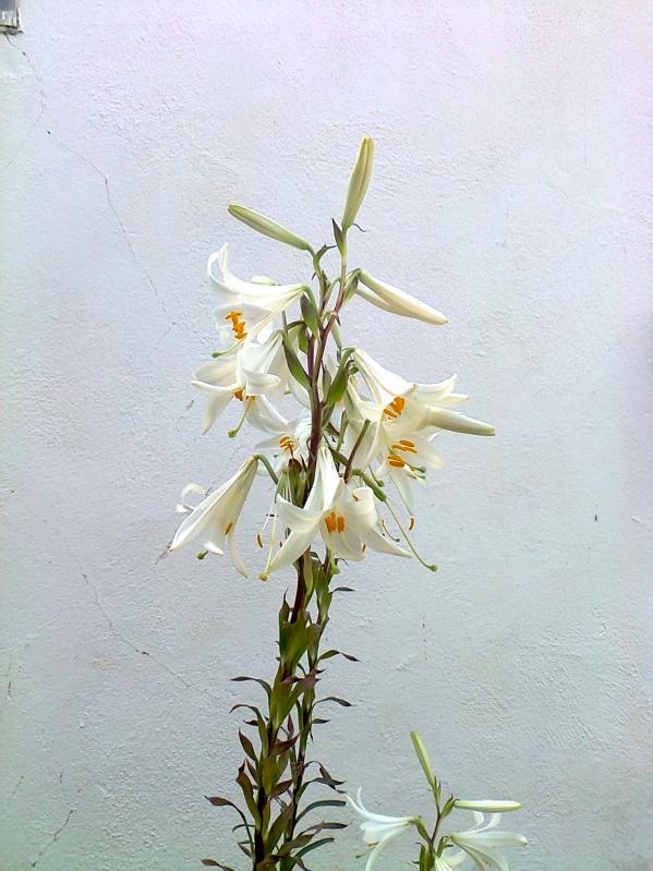 Name:  Fotoraf2784.jpg
Views: 381
Size:  69.8 KB
