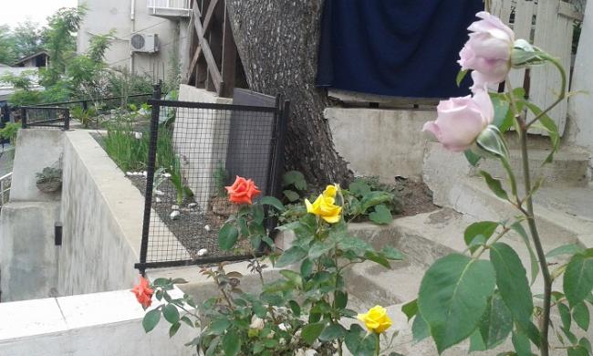Name:  201505279_110014.jpg
Views: 512
Size:  50.1 KB