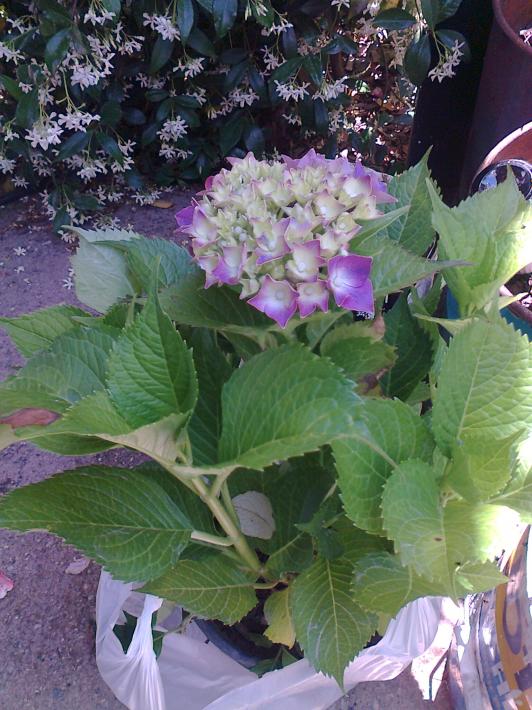 Name:  Fotoraf2800.jpg
Views: 327
Size:  74.9 KB