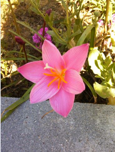 Name:  z1.JPG
Views: 510
Size:  51.9 KB