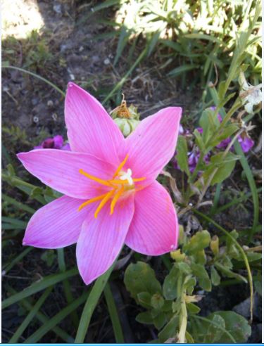 Name:  z2.JPG
Views: 477
Size:  46.7 KB