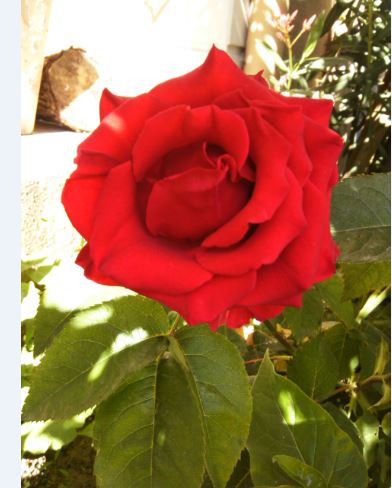Name:  k.JPG
Views: 497
Size:  39.2 KB