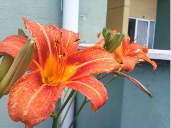 Name:  gu2.jpg
Views: 354
Size:  40.3 KB
