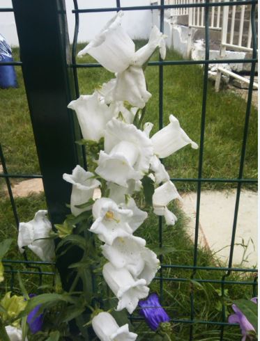 Name:  a.JPG
Views: 324
Size:  45.7 KB