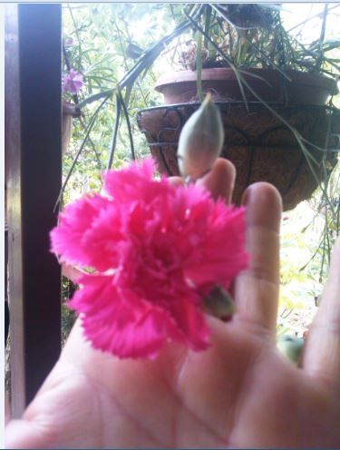 Name:  ka2.JPG
Views: 284
Size:  38.5 KB