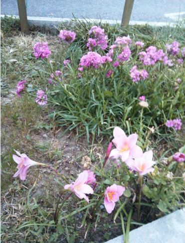 Name:  ar.JPG
Views: 271
Size:  60.3 KB