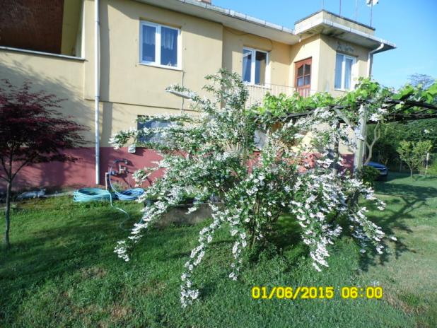 Name:  023.jpg
Views: 852
Size:  71.0 KB