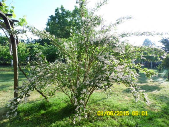 Name:  029.jpg
Views: 863
Size:  71.9 KB