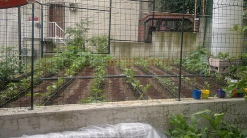 Name:  0011.jpg
Views: 624
Size:  29.5 KB