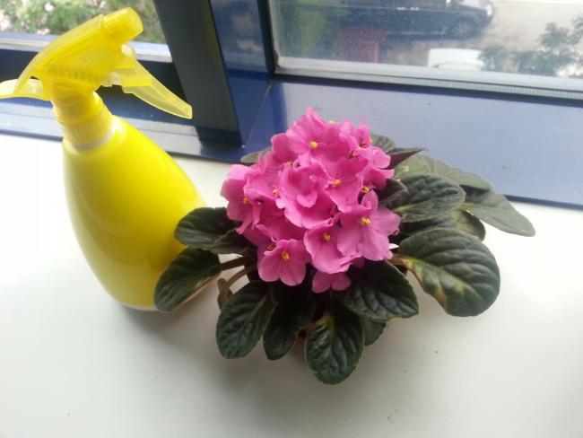 Name:  20150612_121919_resized.jpg
Views: 501
Size:  32.3 KB