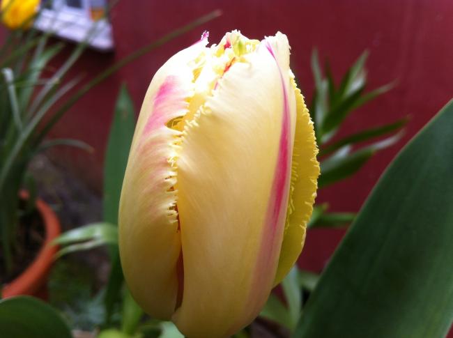 Name:  083.jpg
Views: 1626
Size:  27.1 KB