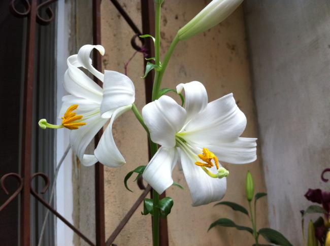 Name:  062.jpg
Views: 1770
Size:  36.4 KB