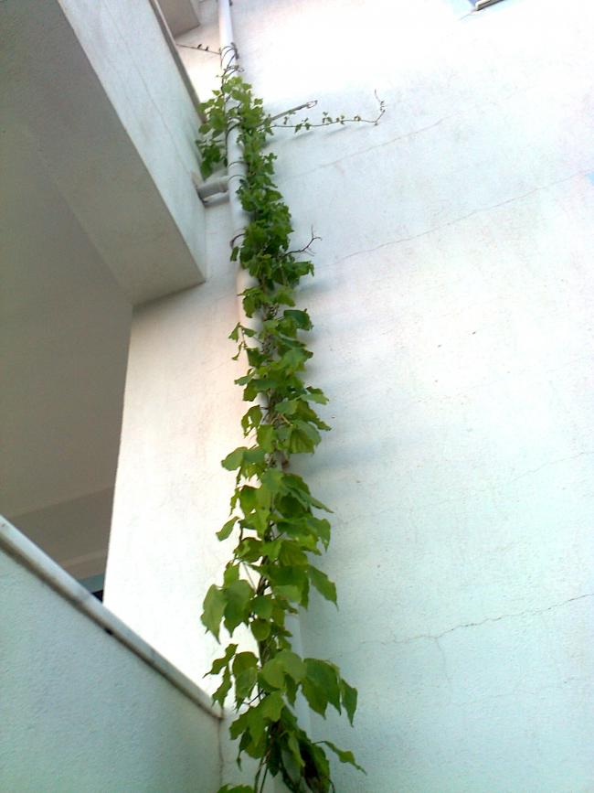 Name:  Fotoraf2988.jpg
Views: 306
Size:  55.7 KB