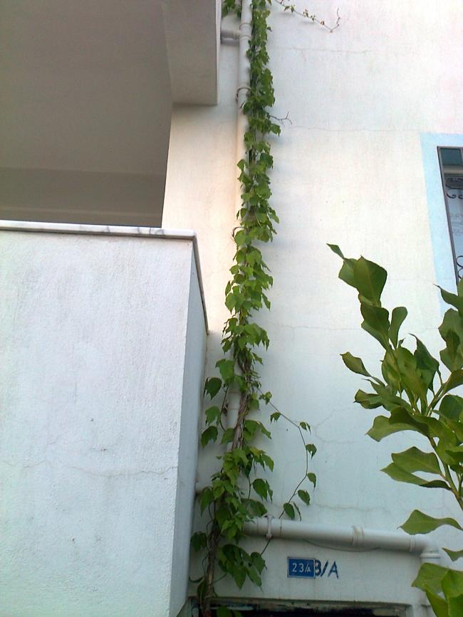 Name:  Fotoraf2986.jpg
Views: 288
Size:  64.9 KB