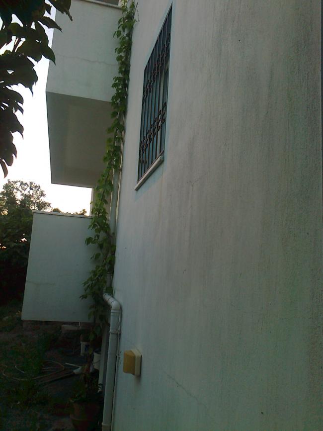 Name:  Fotoraf2987.jpg
Views: 297
Size:  52.8 KB
