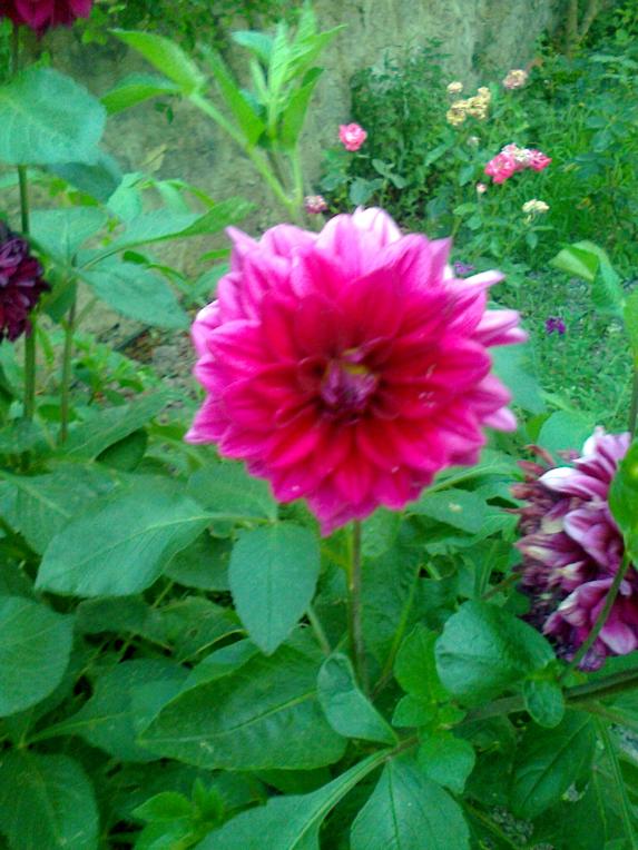 Name:  Fotoraf2982.jpg
Views: 537
Size:  72.6 KB