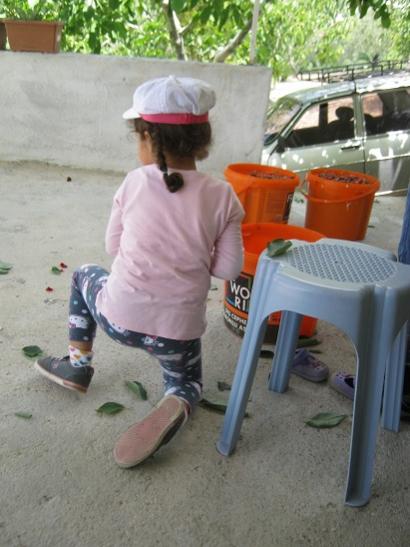 Name:  yapraklar toplanyor.jpg
Views: 875
Size:  37.3 KB
