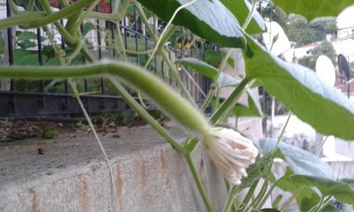 Name:  20150622_203040.jpg
Views: 501
Size:  27.8 KB