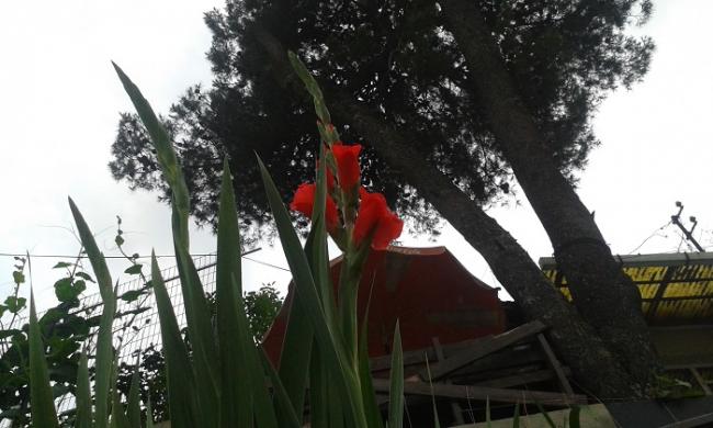 Name:  20150623_195451.jpg
Views: 463
Size:  42.3 KB
