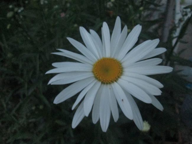 Name:  IMG_5359.jpg
Views: 451
Size:  31.6 KB