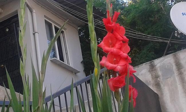 Name:  20150628_185015.jpg
Views: 472
Size:  40.5 KB