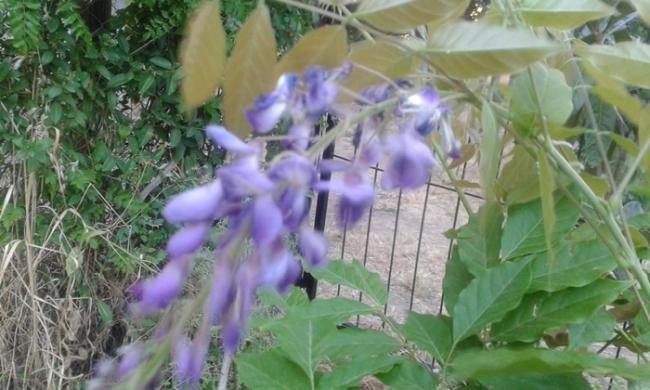 Name:  20150626_194439.jpg
Views: 399
Size:  46.0 KB
